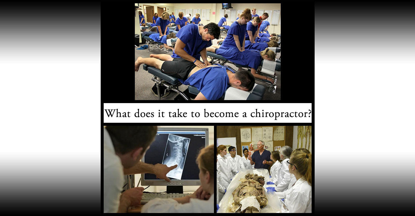 What does it take to become a chiropractor?